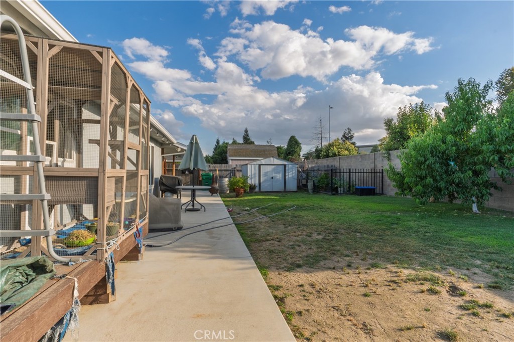 Open Photo