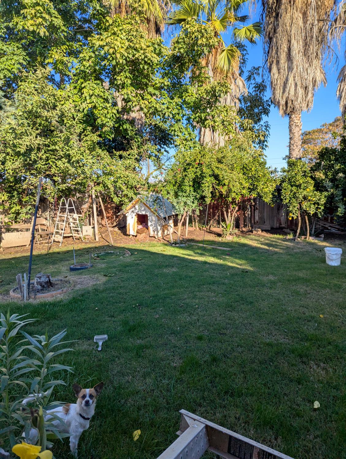 2228 N drake N, Merced, CA 95348